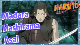 Madara Hashirama Asal