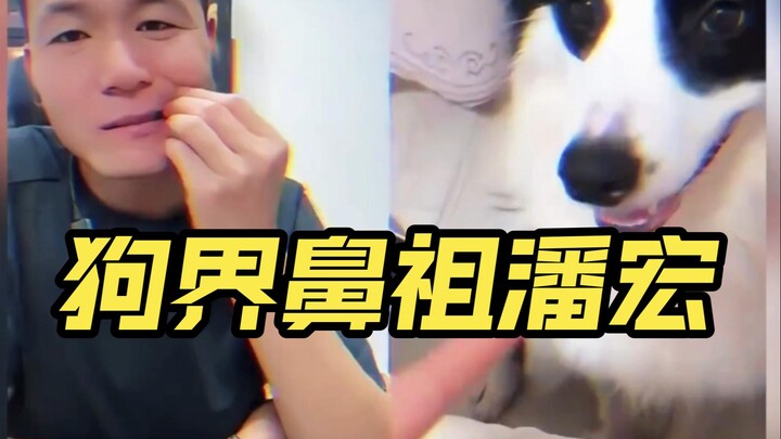 جدها الأكبر في عالم الكلاب، بان هونغ، يعشق الكلاب!