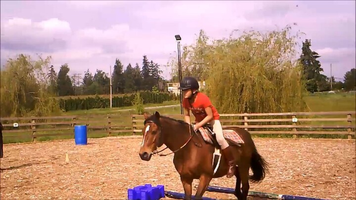 骑没有马镫的马 Riding without stirrups