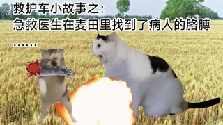 【มีมแมว】แพทย์ฉุกเฉินบางครั้งต้องค้นหาแขนของคนไข้ในทุ่งนา