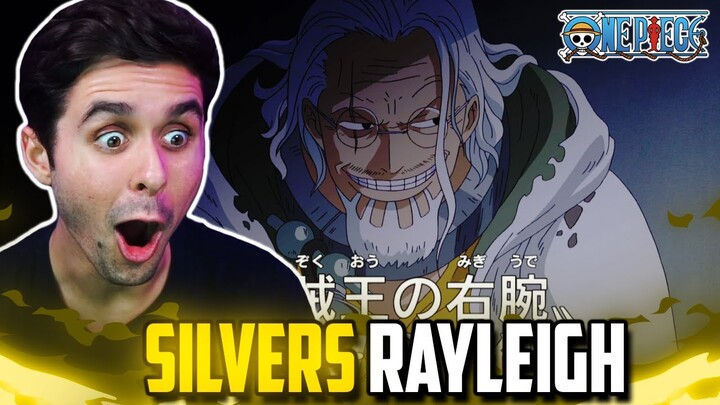 "SILVERS RAYLEIGH" One Piece Ep. 394,395 Live Reaction!