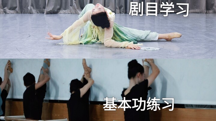 What do amateur dancers learn when they challenge themselves by attending intensive training at prof