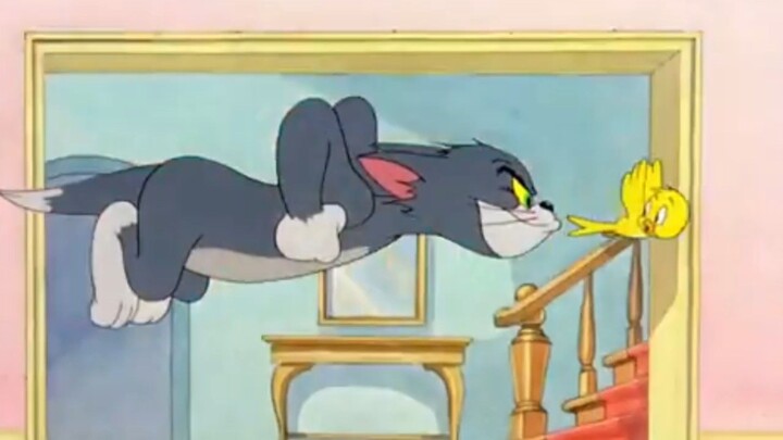 kartun anak Tom and Jerry bahasa indonesia, kitty foiled 3