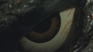 There are so many King of the Monsters (Part 3): Heisei VS series (Part 1)