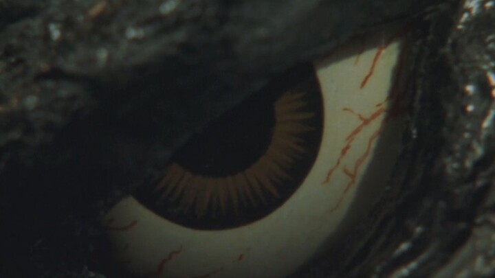 Có rất nhiều King of the Monsters (Phần 3): Heisei VS series (Phần 1)