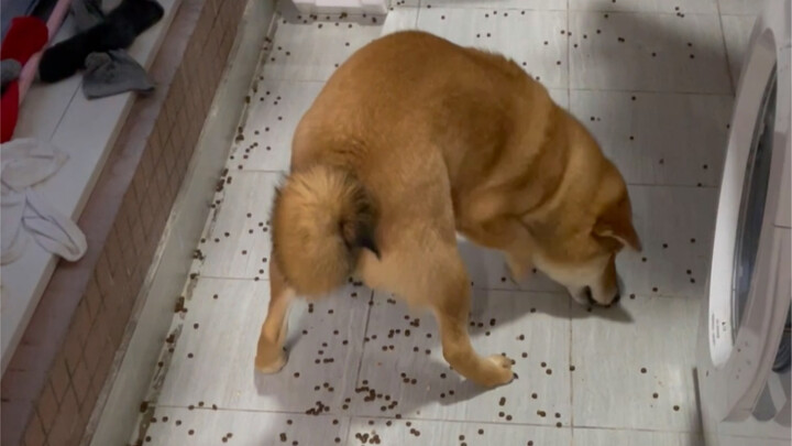 Anak Lelaki Kesayangan Ibu (Ibu yang Penuh Kasih)