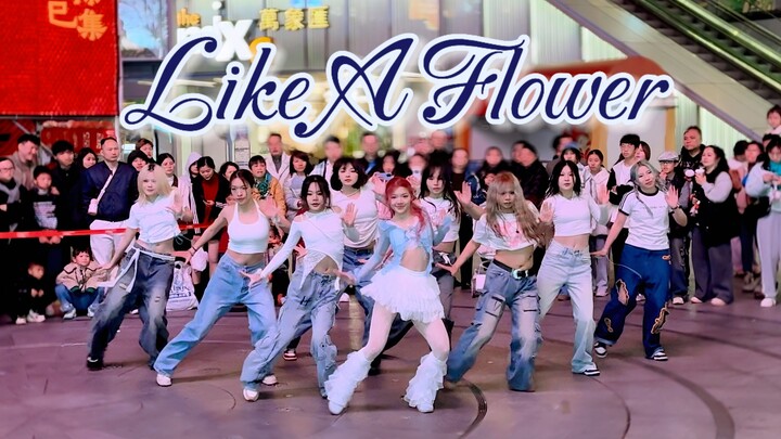 百花齐放的齐《Like A Flower》路演全曲翻跳IRENE 时间会证明如花的含金量 广西南宁2.3中山万象汇阿壳随机舞蹈