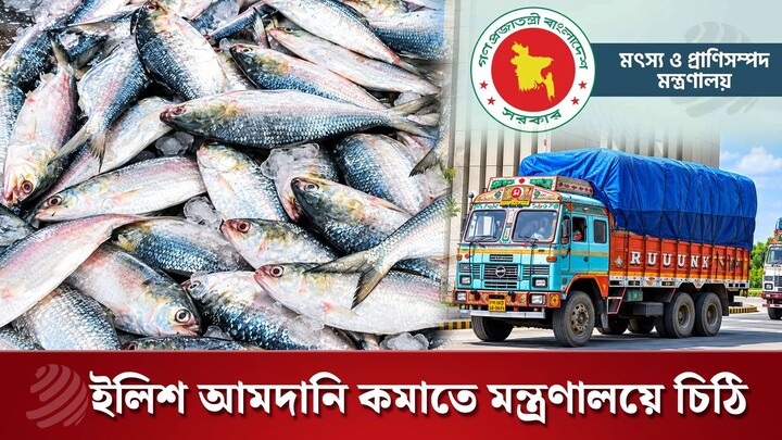 ইলিশ আমদানি কমাতে বারবার মন্ত্রণালয়ে চিঠি, তবু নেই উদ্যোগ | Dhaka Post