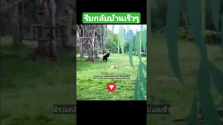 ^มีรวมคลิปเต็มชุดนี้กดดูลิงค์ด้านบนเลยจ้า^ รีบกลับบ้านเร็วๆ