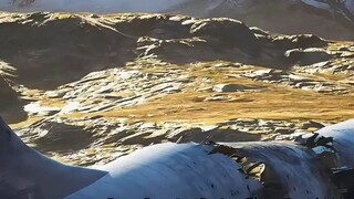 Is love Painful, or Happiness?