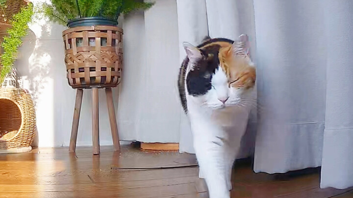 How could a female celebrity do something like this?!