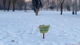 懒羊羊来哈尔滨了！这两声哇谁听了不迷糊？够东北甜妹学好几年