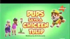 PAW patrol Musim 8 Episode 12 Bahasa Indonesia Vision+