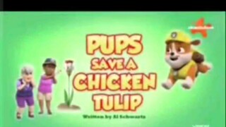 PAW patrol Musim 8 Episode 12 Bahasa Indonesia Vision+