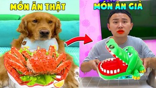 Thú Cưng Vlog | Đa Đa Đại Náo Bố #8 | Chó gâu đần thông minh vui nhộn | Smart dog golden pets