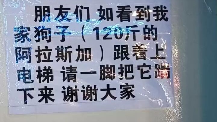 已经踹下去了。