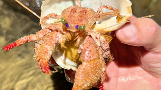 หลังพายุไต้ฝุ่นผ่านไป พบของเล่นสนุกๆ มากมาย