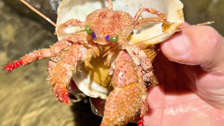 หลังพายุไต้ฝุ่นผ่านไป พบของเล่นสนุกๆ มากมาย