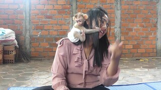 Maki so spoil climbing on head very disturb mom during busy cutting snail for cooking