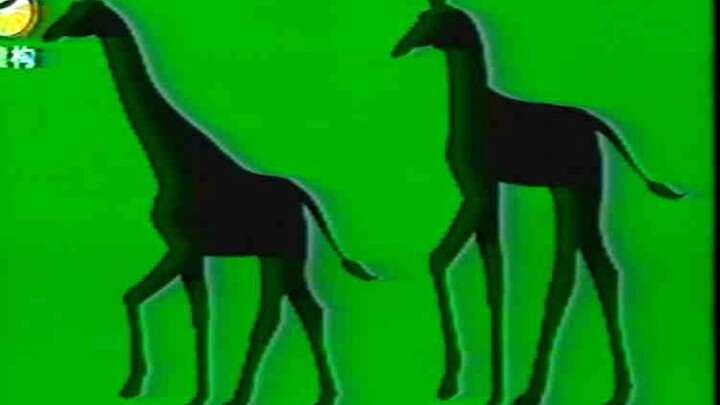 لماذا يوجد فقط الزرافات وليس هناك غزلان ذات أرجل طويلة؟