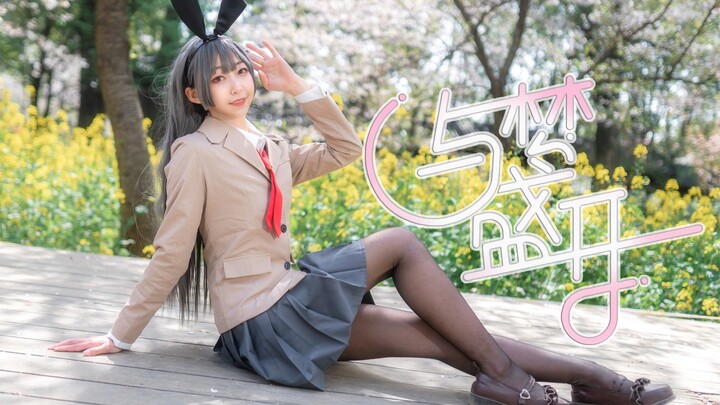 麻衣学姐樱花下原地出道！与梦盛开♥【卧蚕】