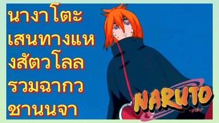 นางาโตะ เส้นทางแห่งสัตว์โลลิ รวมฉากวิชานินจา
