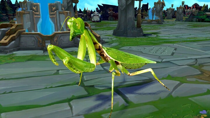 [LOL] Bọ ngựa...Bọ ngựa! 👺