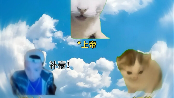 【猫meme】地狱笑话