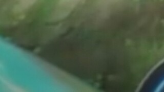 Tôi là người dẫn đường!