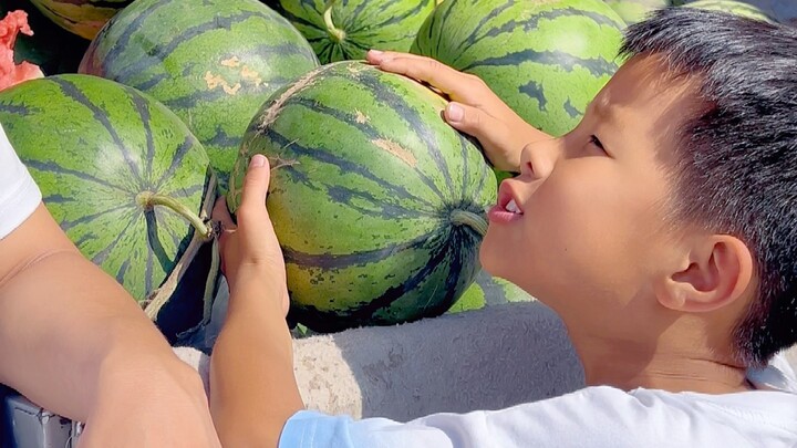 Can you really pick a watermelon like this?