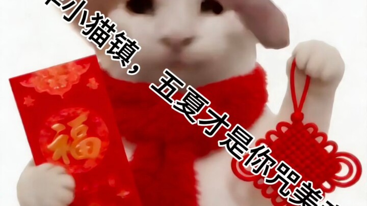 Thực ra, Ngũ Hạ mới là người nguyền rủa Mỹ đấy.