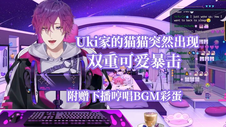 【Uki/切熟】美人和猫猫，这是什么天堂！