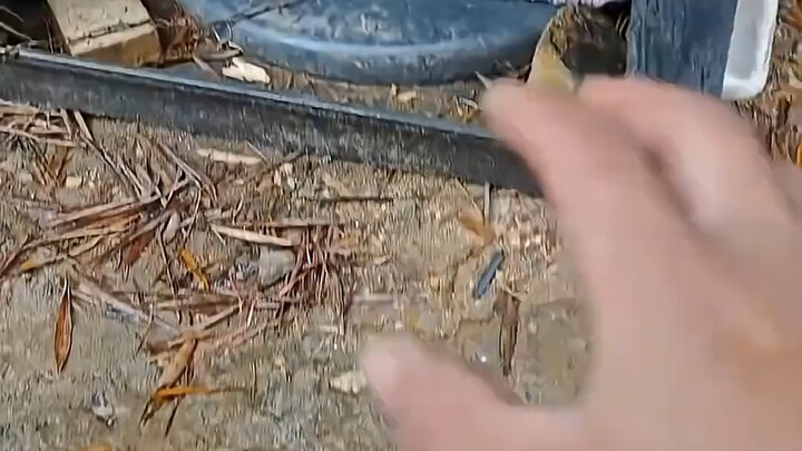 Con này thì vuốt được không?