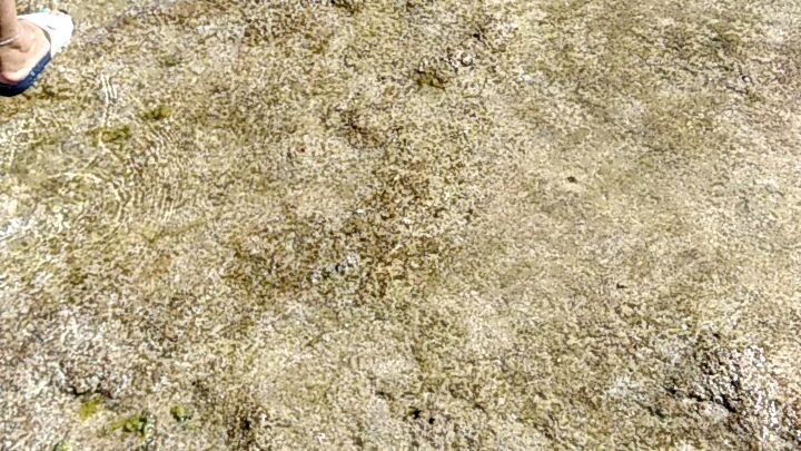 Nice place in siargao island... Vacation with my family...& brother