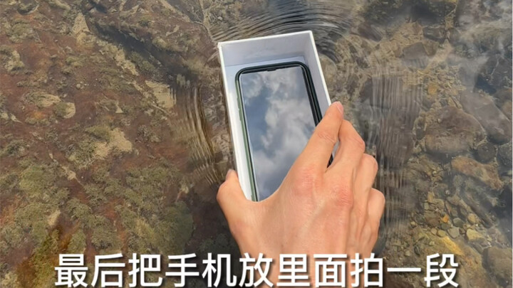 One box, one high-definition phone screen protector—learn how to photograph little fish