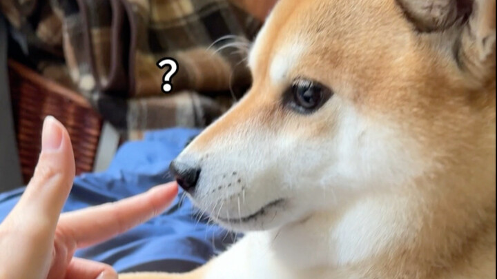 中日关系依旧紧张