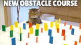 [Animal] [Kittisaurus] Kittens' Obstacle Challenge!