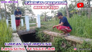 Umpan Nyemplung Langsung Hajar❗❗ (Micro Fishing)