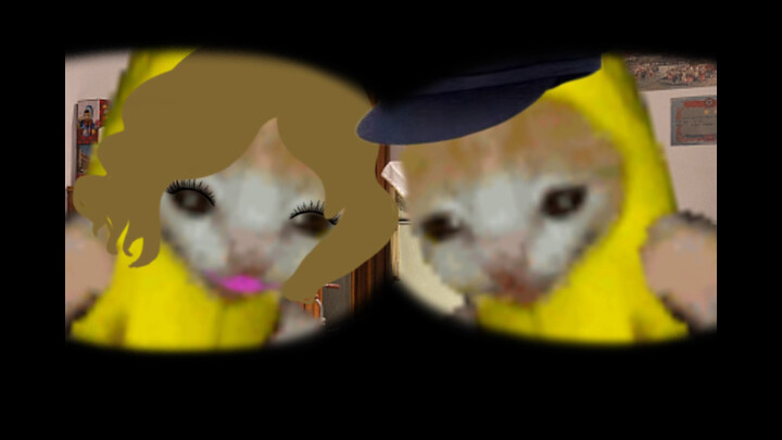 A Common Cat’s Life (Part 1)