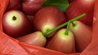 Buah paling membosankan di dunia