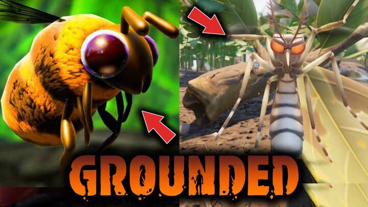 Grounded Indonesia - UPDATE BARU ADA LEBAH, NYAMUK DAN KUNANG-KUNANG #22