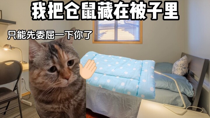 我养的仓鼠生了小老鼠...?