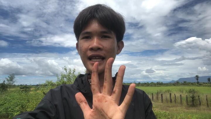 Hi