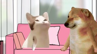 thu hút trong một cái nhìn
