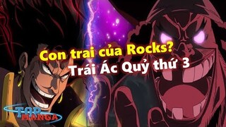 Râu Đen là con trai Rocks D. Xebec? Trái Ác Quỷ thứ 3 là gì?