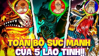 TOÀN BỘ SỨC MẠNH KHỦNG KHIẾP CỦA NGŨ LÃO TINH! | ONE PIECE 1110+