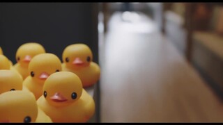 Nữ luật sư kỳ lạ Woo Young Woo EP 1 [Sub Việt]