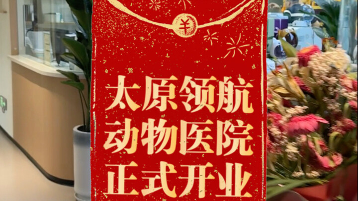 On November 6th, Shanxi Taiyuan Linghang Animal Hospital officially held its grand opening ceremony.