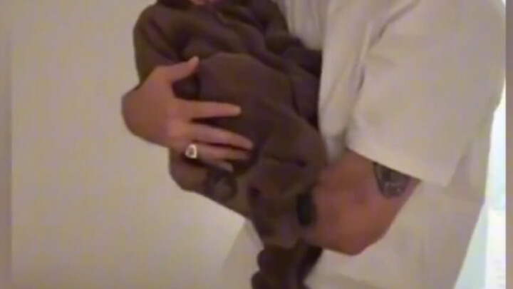 بعد أكثر من عشر سنوات، جلس الأب يفكر بعمق وهو ينظر إلى شيونغ شيونغ الذي بلغ طوله مترًا وستين.