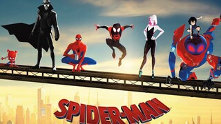 This Marvel animation, which has zero negative reviews, brings together all 6 Spider-Men in the same